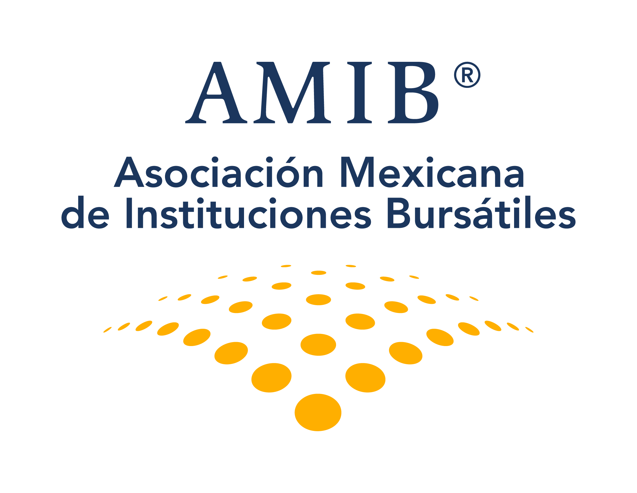 imagen ilustrativa AMIB