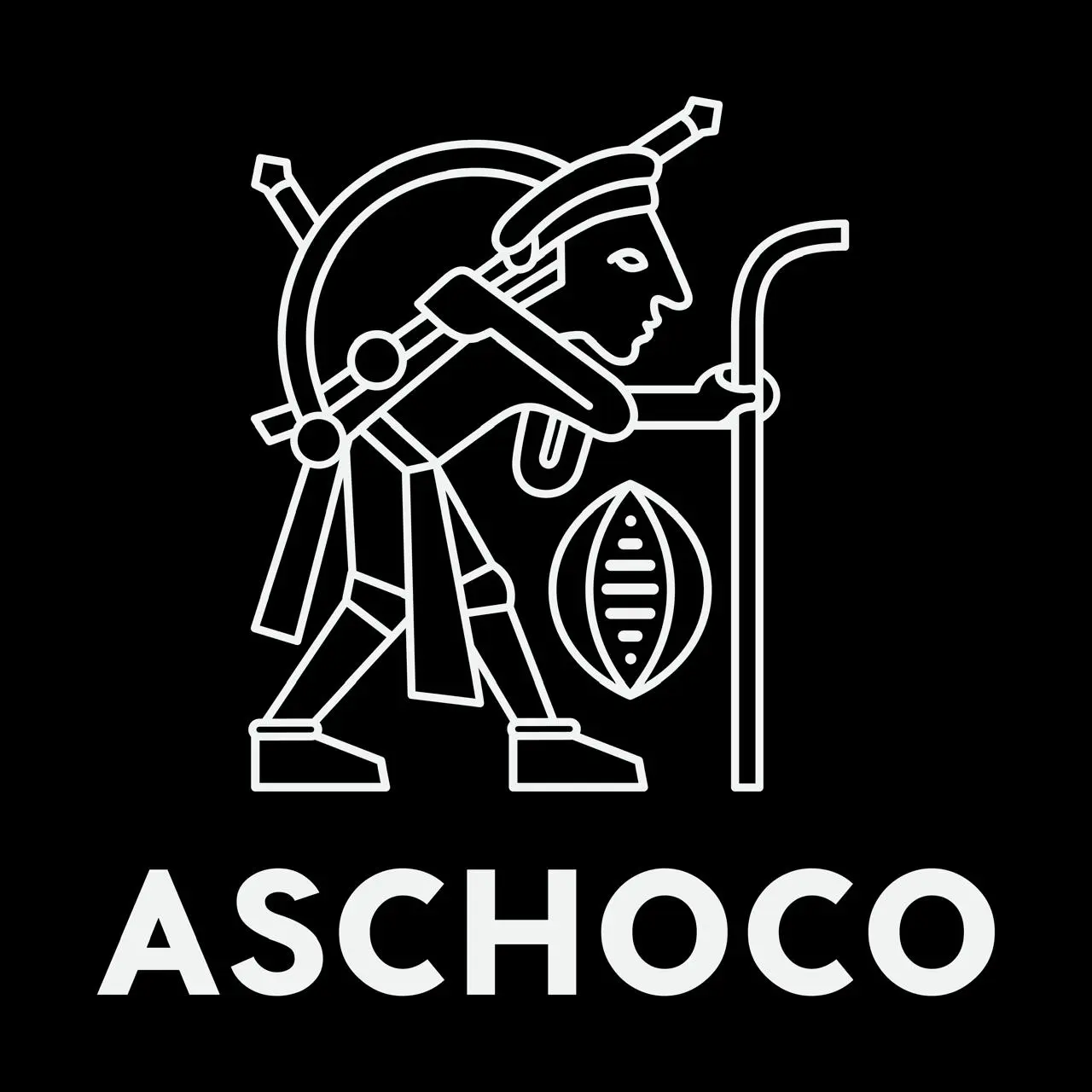 imagen ilustrativa ASCHOCO